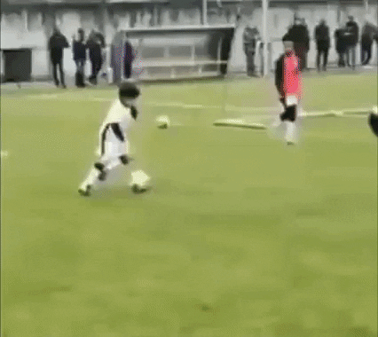 Insight_video giphyupload GIF