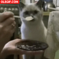 me gusta GIF