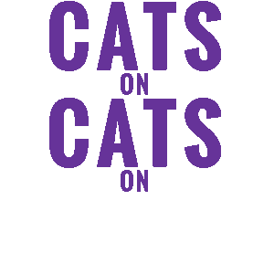 humane society cats Sticker by Humane Society of Southern Arizona