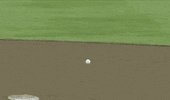 Baseball College GIF by NCAA Championships