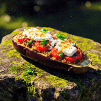 Plant-Based Vegan GIF by Caavakushi