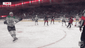 Happy Dallas Stars GIF by NHL