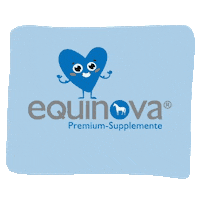 Muscles Supplement Sticker by Höveler & Equinova Benelux