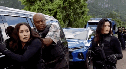Steve Mcgarrett Tani Rey GIF by CBS