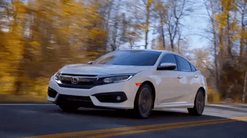 GIF by Central Valley Honda Dealers
