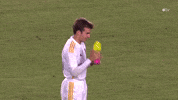 Regular Season Mls GIF by Major League Soccer