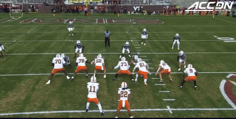 canesport giphyupload GIF