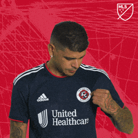New England Football GIF by Major League Soccer