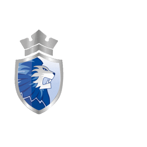 dordrechtlions giphyupload icehockey puck ijshockey Sticker