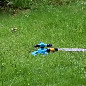 eddiesouza75f8 giphyupload GIF