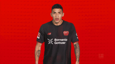 Bayer Leverkusen GIF by Bundesliga
