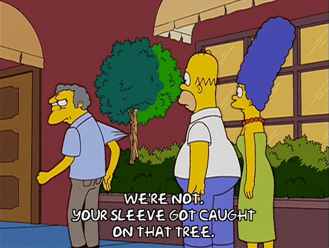 homer simpson GIF
