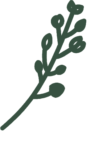 Beauty Grow Sticker by thefirstrefresh