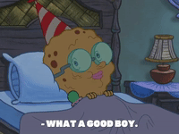 season 8 barnacle face GIF by SpongeBob SquarePants