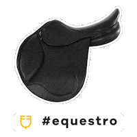 Passion Jumping Sticker by AmaHorse