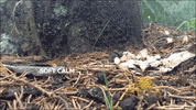 Art Video GIF by jorgemariozuleta