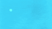 zdf ard GIF by funk
