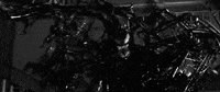 spider man film GIF