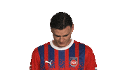 Look Up Fc Heidenheim Sticker by Bundesliga