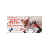 Dog Cao Sticker by Elanco Brasil