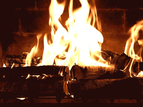 fireplace for your home GIF by NETFLIX