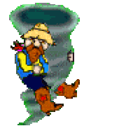 ride rodeo STICKER
