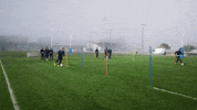 Agen_Rugby football rugby sua top14 GIF