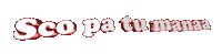 Sco Pa Tu Manaa Sticker by GIPHY Text