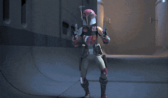 tv show sabine GIF by Star Wars