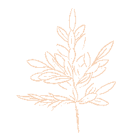 Plant Line Sticker