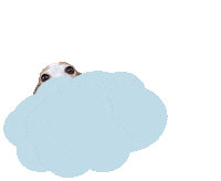 misterwoof dog fashion good morning morning Sticker