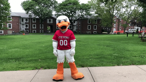 FollowStevens giphygifmaker fail oh no duck GIF