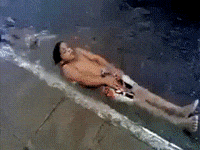 bottom GIF