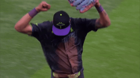 Excited Major League Baseball GIF by MLB