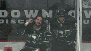 Black Bears GIF by Binghamton Black Bears