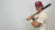 Baseball Roll Pards GIF by Lafayette Leopards