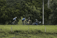 munbaik_cycling racing tree cycling bicycle GIF