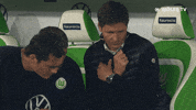 Soccer No GIF by VfL Wolfsburg