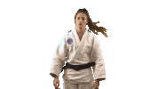 Sport Japan Sticker by Paris Saint-Germain Judo