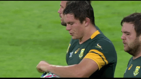 Drink It Down South Africa GIF by World Rugby