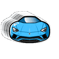 Car Sticker