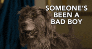 Robert Downey Jr GIF by Dolittle
