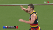 afl celebrate GIF by Adelaide Crows