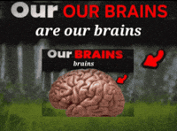 Loop GIF