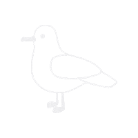 Ditetecrit seagull ostsee mowe fehmarn Sticker