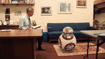 massachusetts institute of technology admissions GIF by MIT 