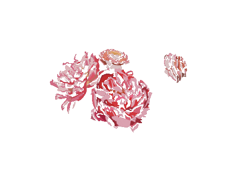 thejunipertreeco flowers aesthetic pretty floral Sticker