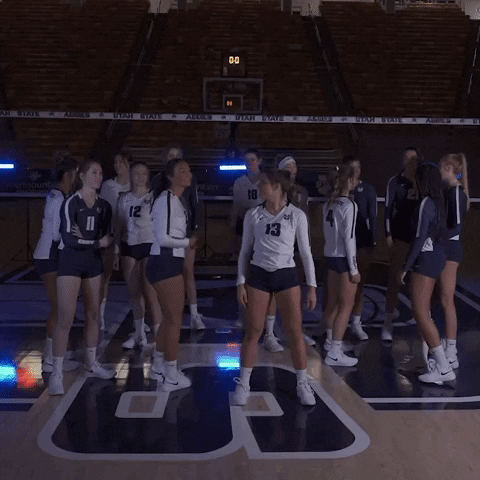 Usu GIF by USUAthletics