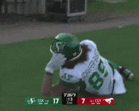 Celebration GIF