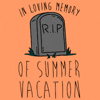 Back To School Summer GIF by LookHUMAN